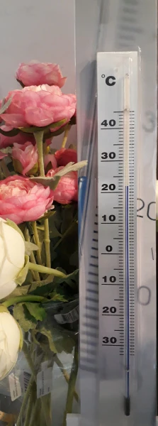 Thermometer