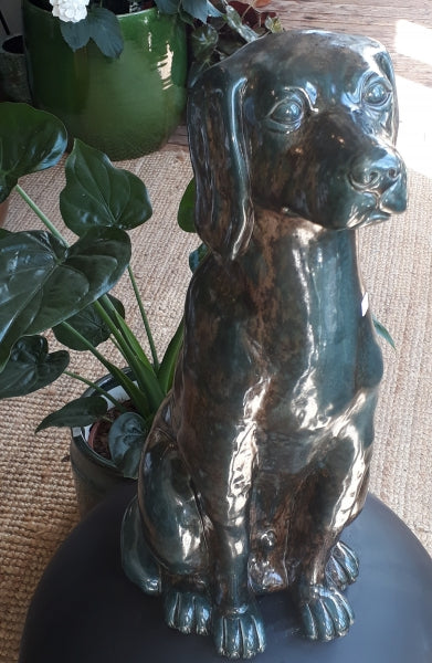 Engelse Jachthond beeld M gr/br