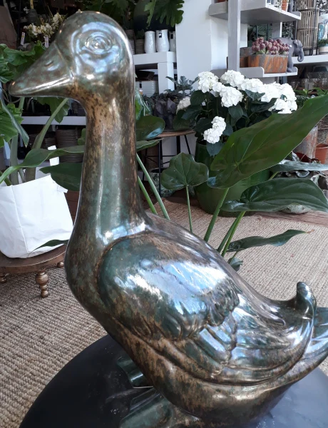 Gans klein