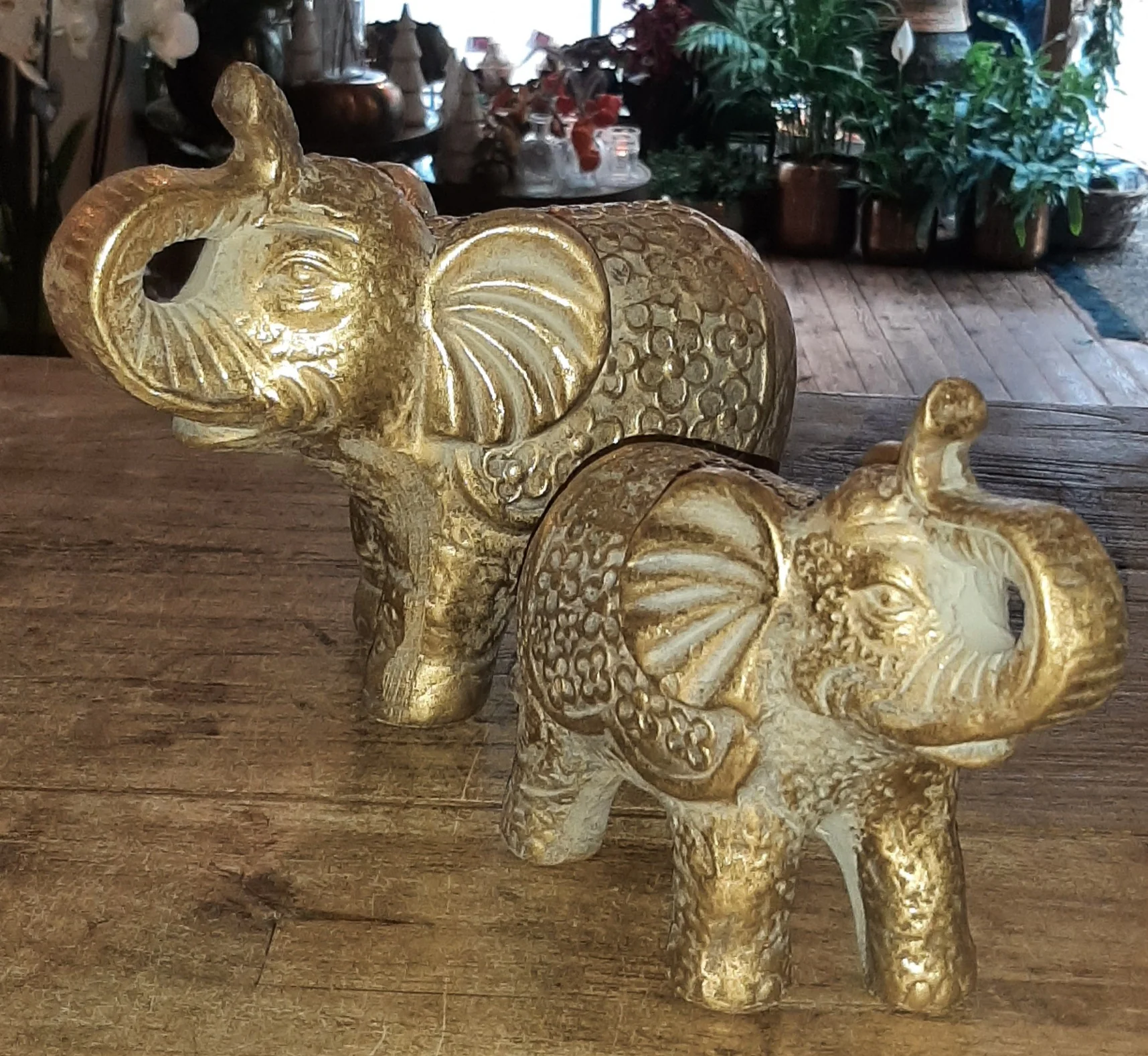 Goudkleurige Olifant