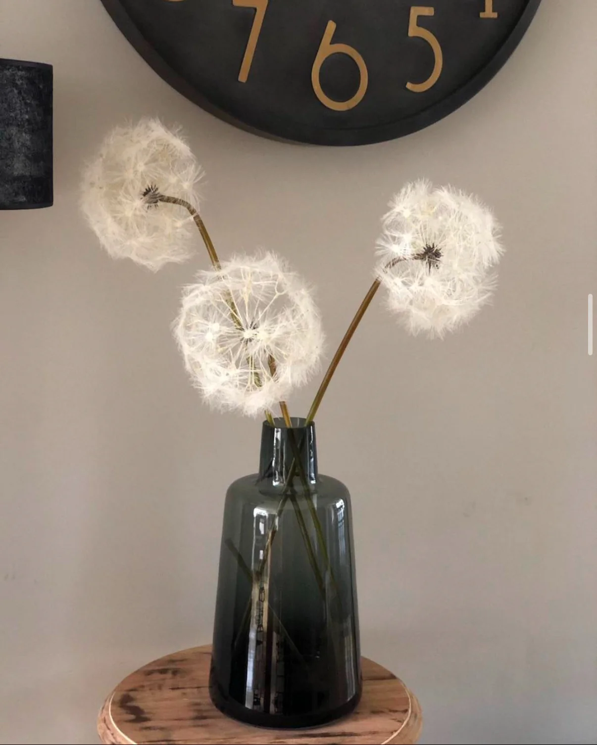 Dandelion XXL- paardebloem zijden