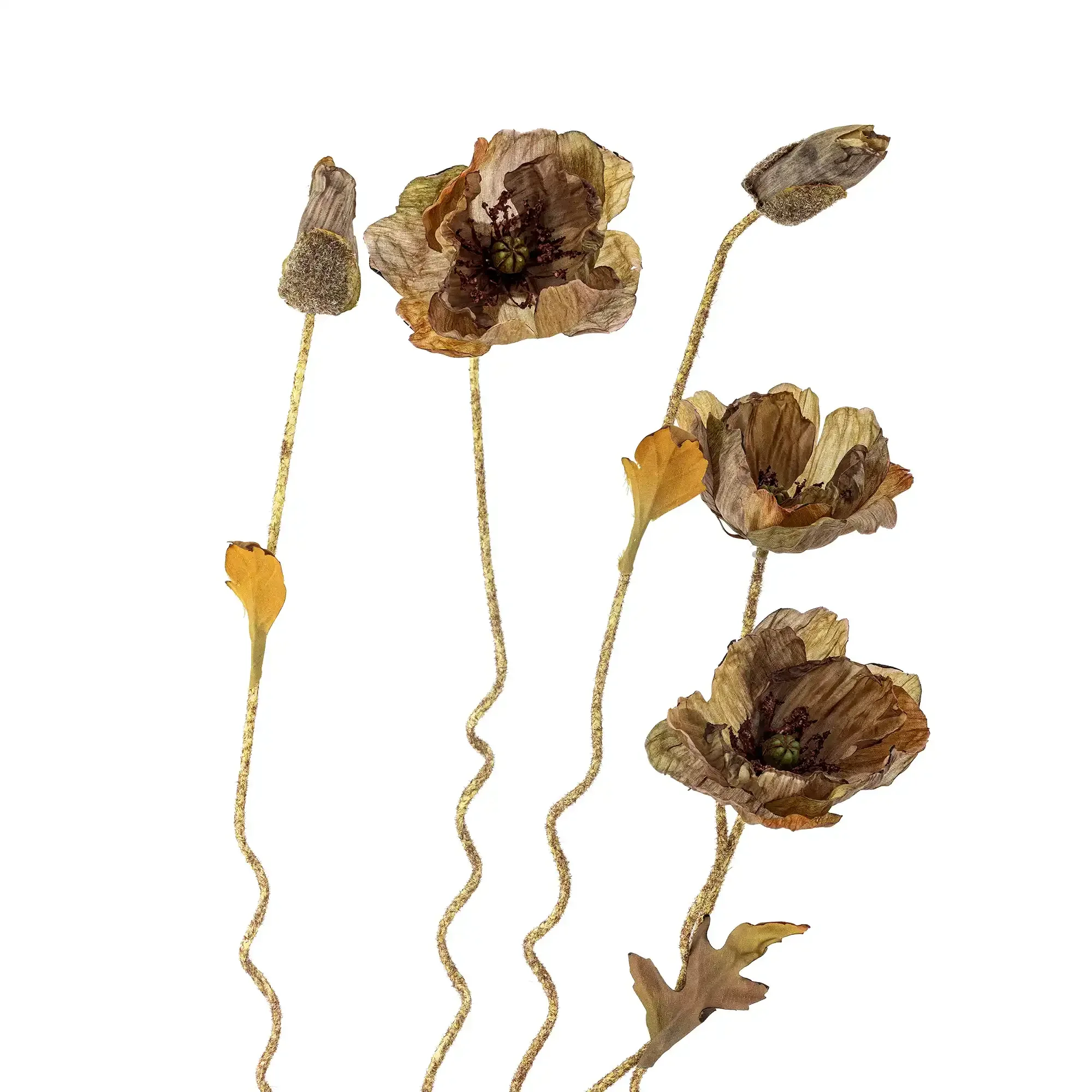 Poppy steel bruin Poppy steel bruin