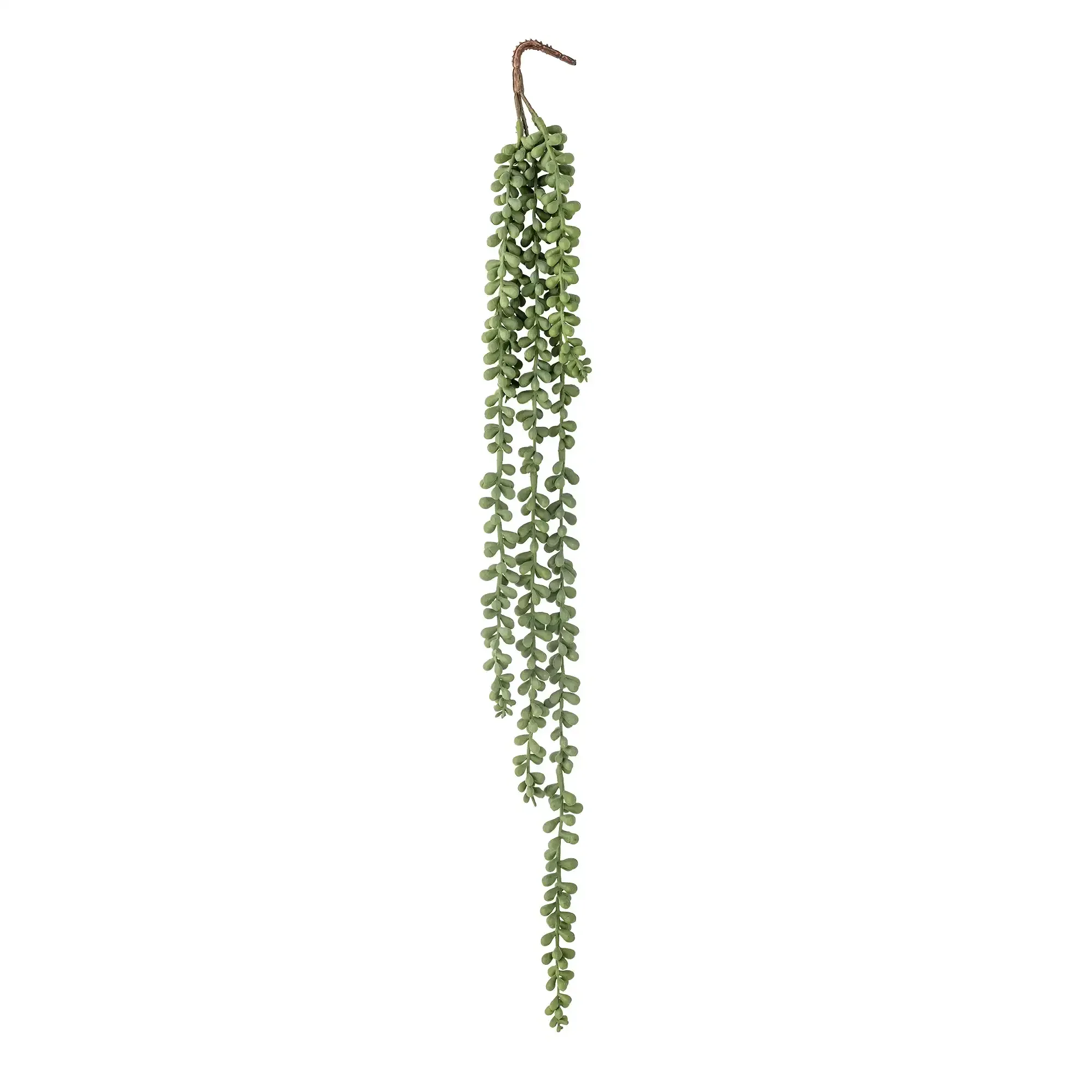 Hangplant groen Pearl 71cm Hangplant groen Pearl 71cm