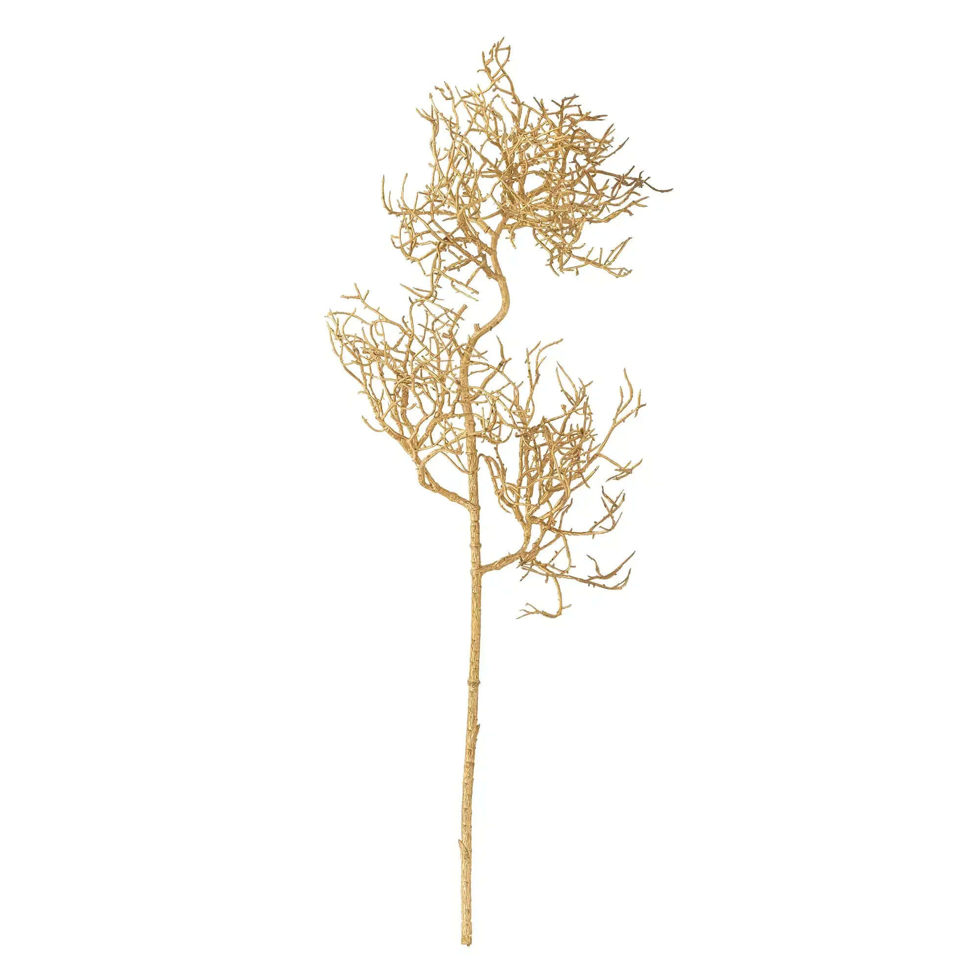 Coral stengel goud Coral stengel goud