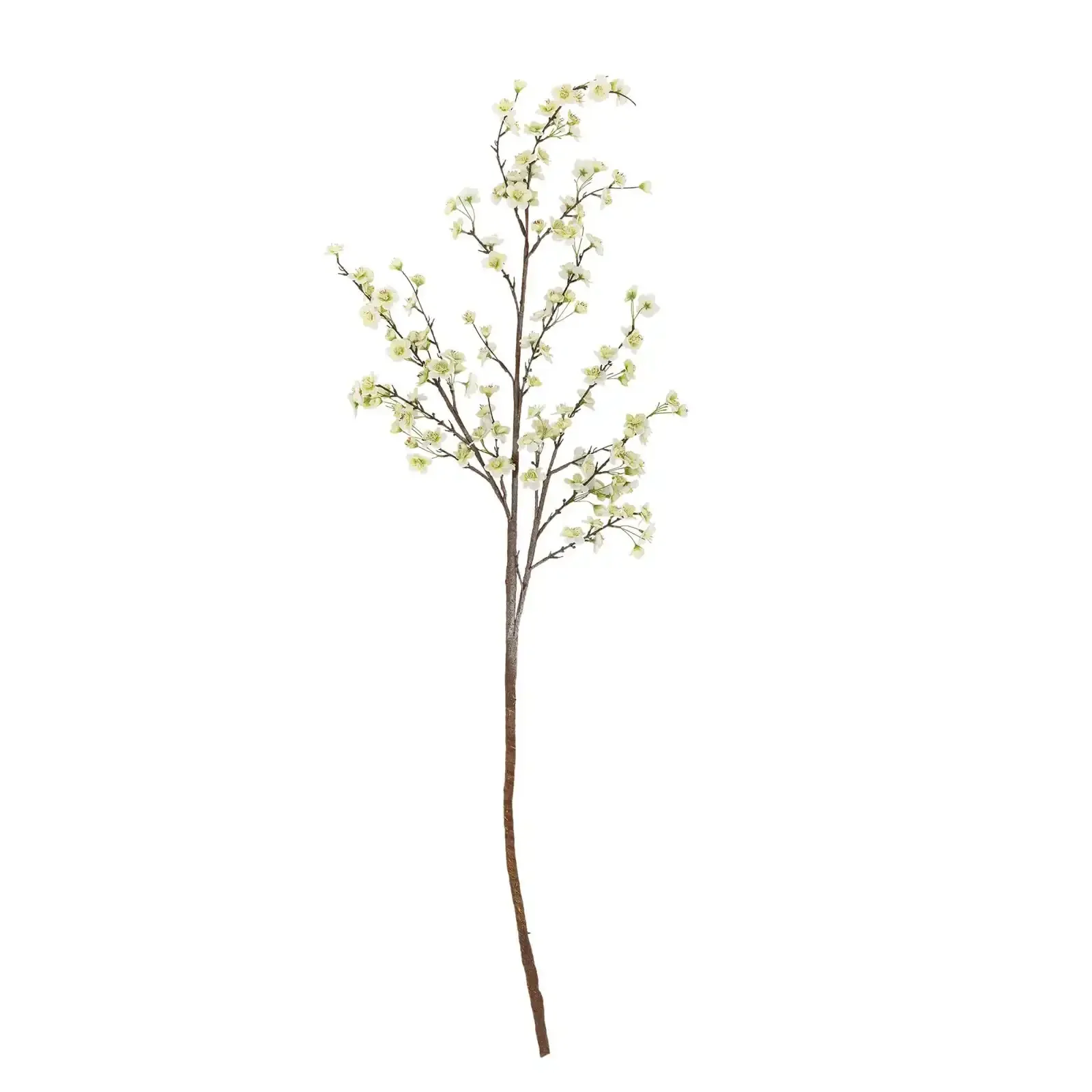 Bloesemtak Apple wit 153cm