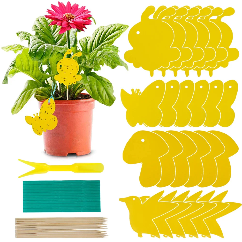 PestiGuard – Ongevaarlijke Plantenvallen voor Gezonde Planten [50% Korting]