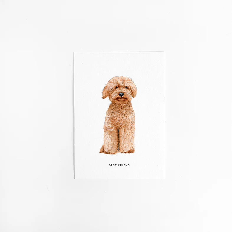 Kaart Labradoodle Kaart Labradoodle