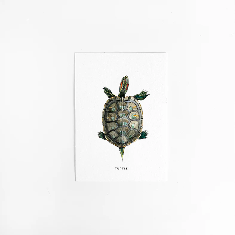 Kaart Schildpad Kaart Schildpad