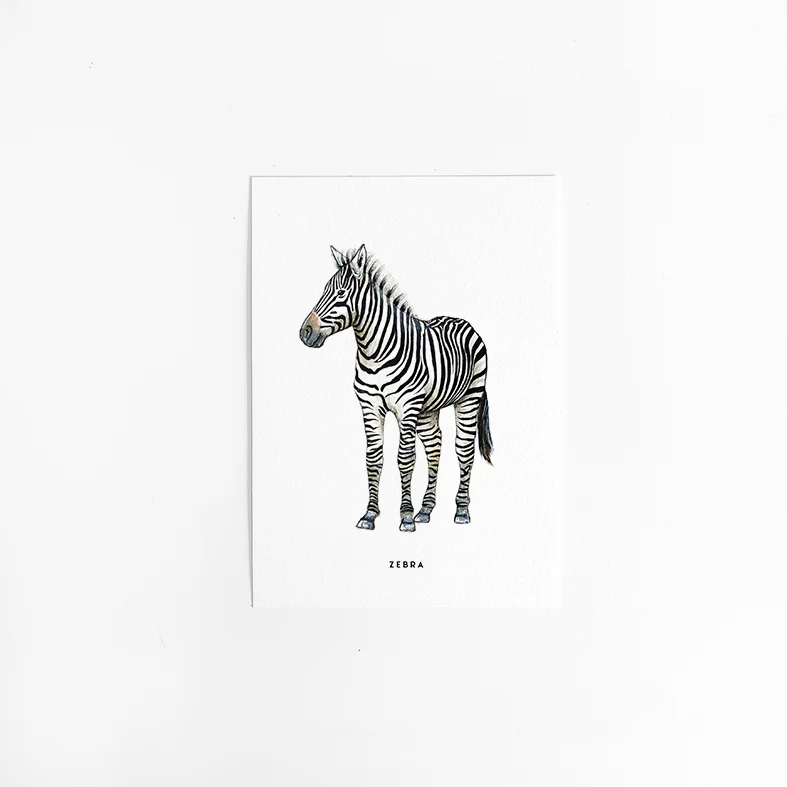 Kaart Zebra Kaart Zebra