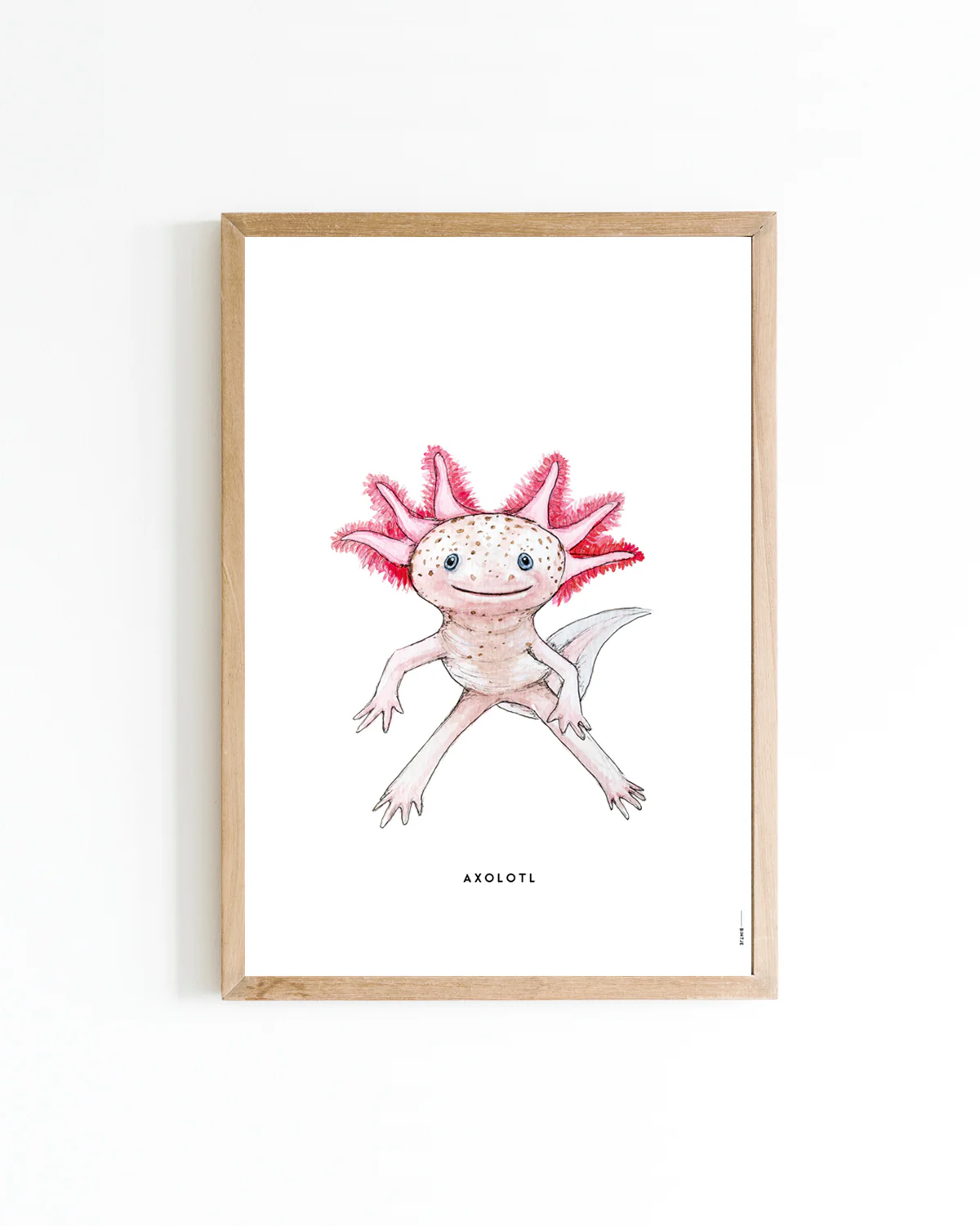 Poster Axolotl