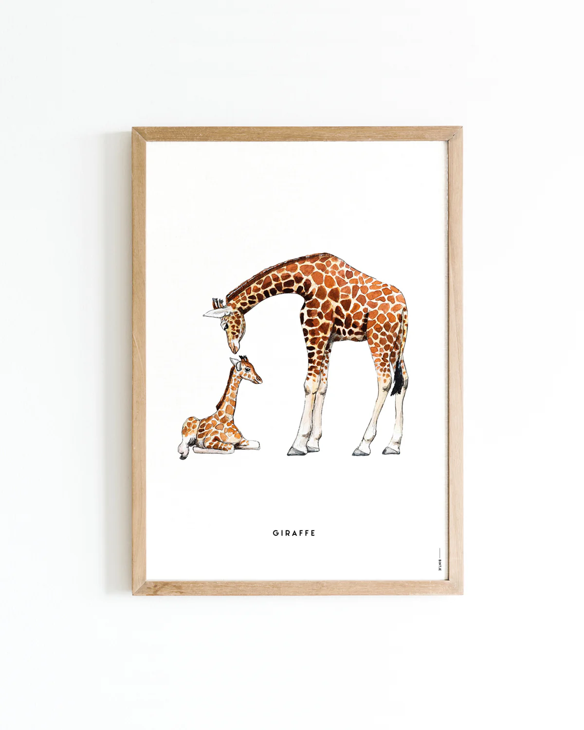 Poster Giraf familie Poster Giraf familie