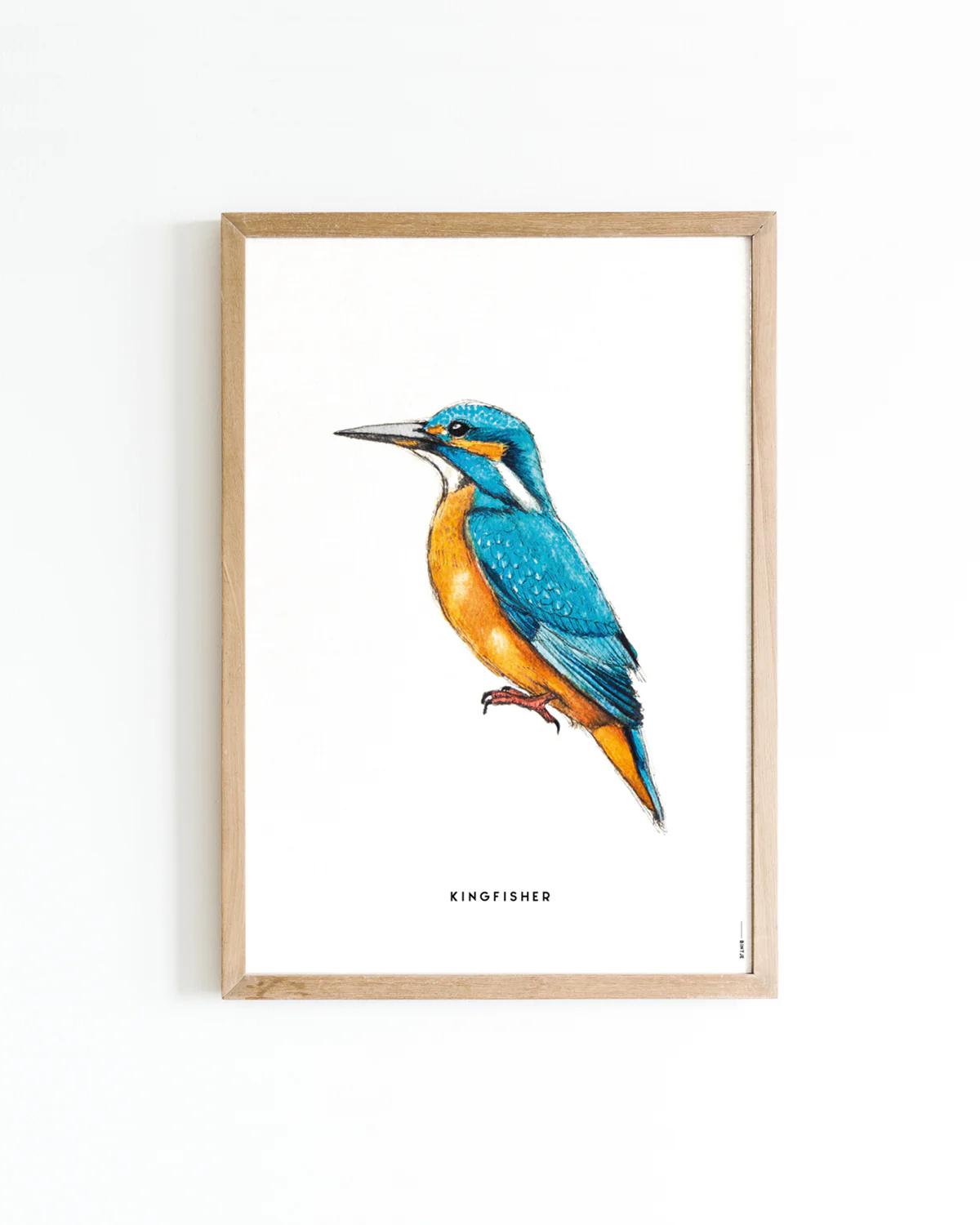 Poster IJsvogel A4 Poster IJsvogel A4