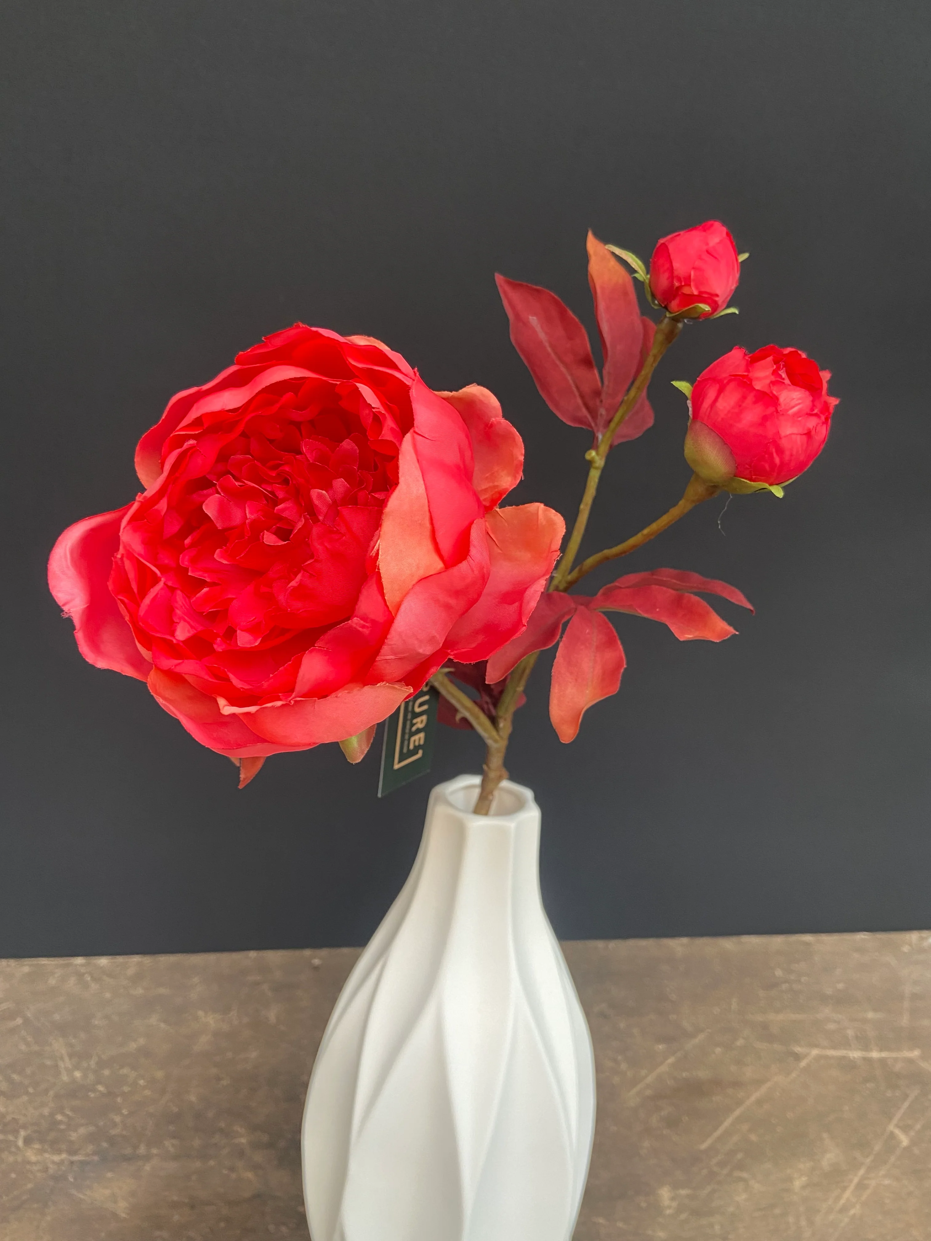 Poppy spray pink