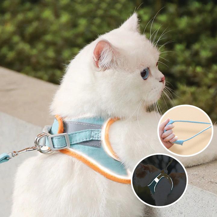 CatHarnes™ Comfortabel kattentuigje voor veilige wandelingen [50% korting]