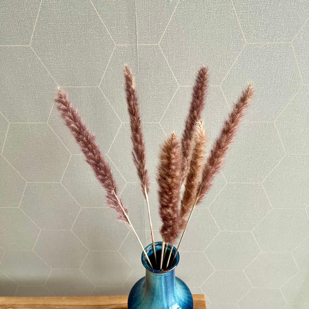 Gedroogde bloemen – pampas kattenstaartjes- Naturel/roze 6 stuks – 65/75 cm