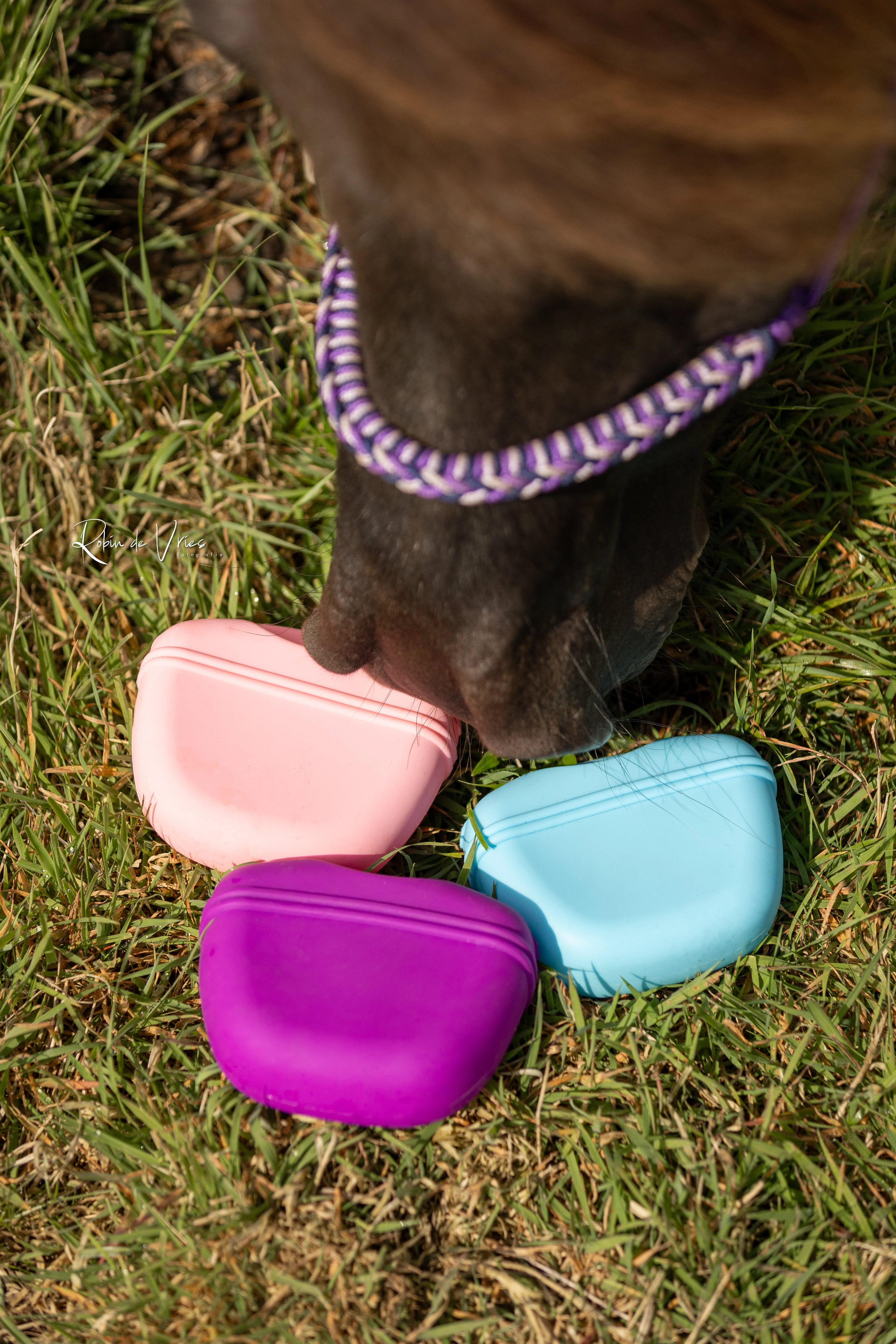 Myrthe’s Paardenpassie – Voerbelonings-tasje