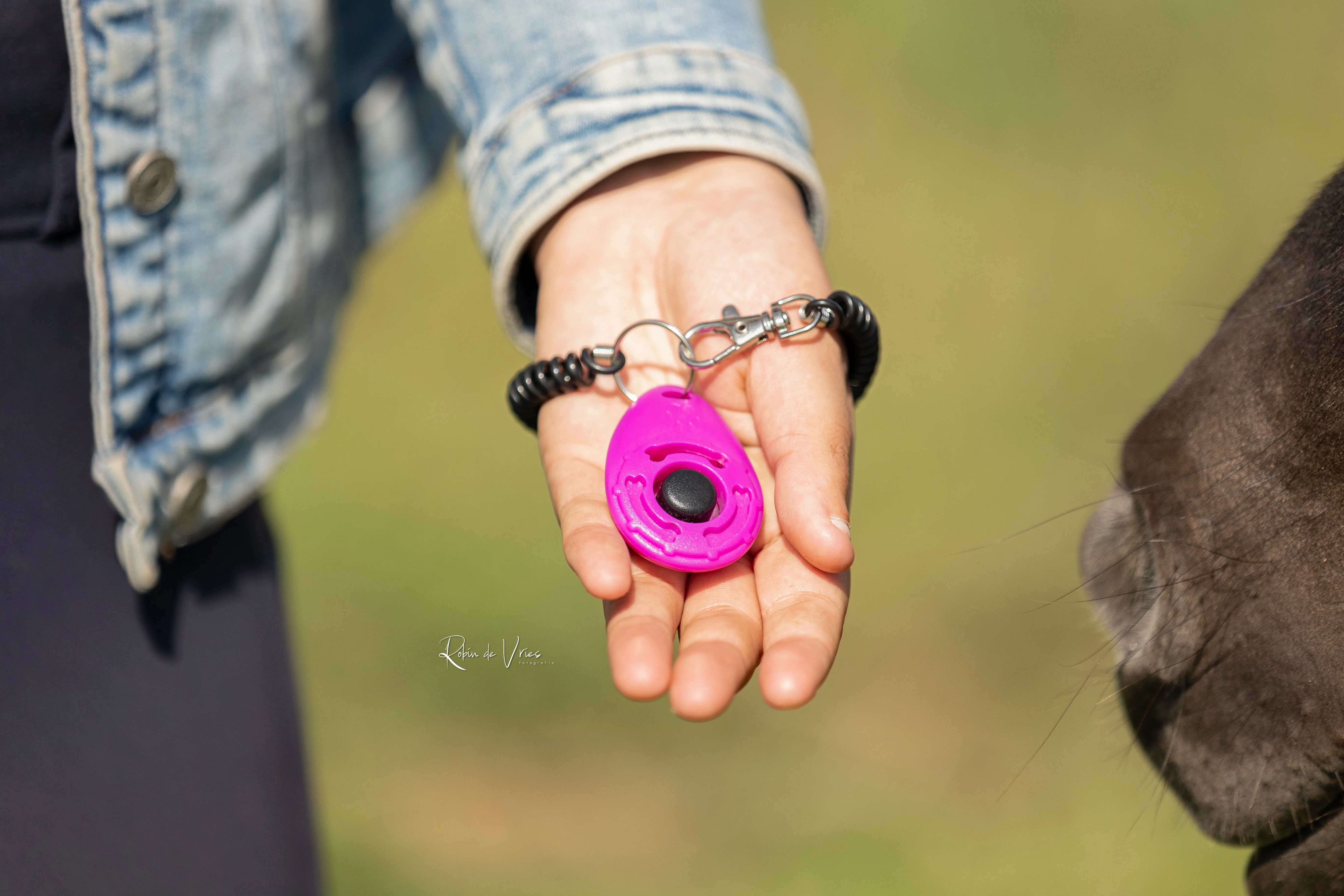 Myrthe’s Paardenpassie – Clicker