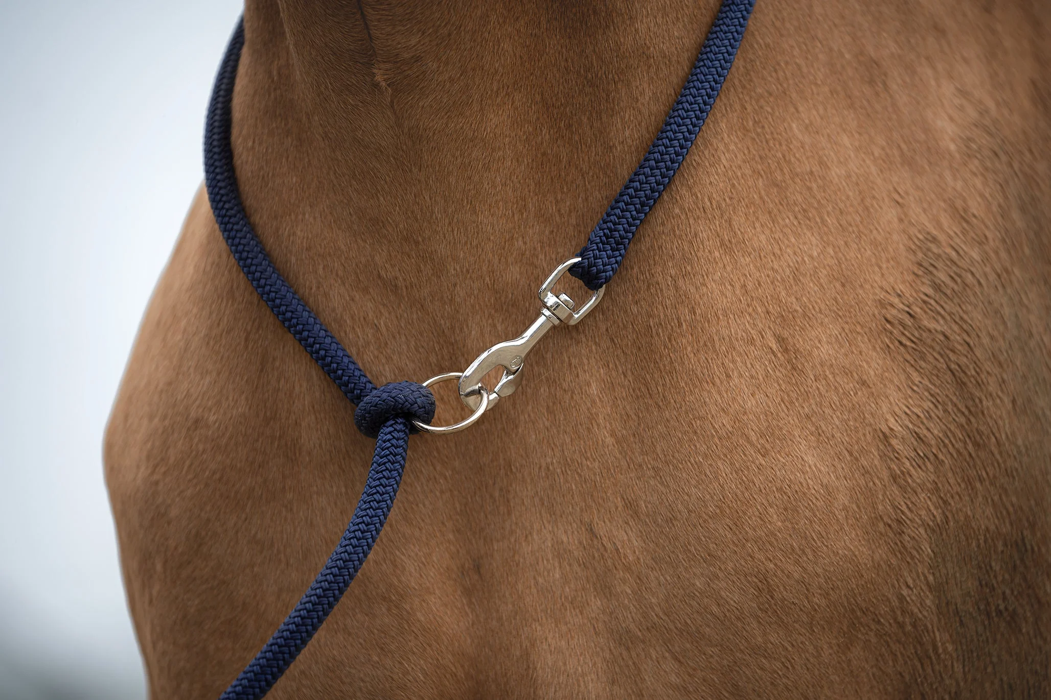 Myrthe’s Paardenpassie – 2-1 Liberty line