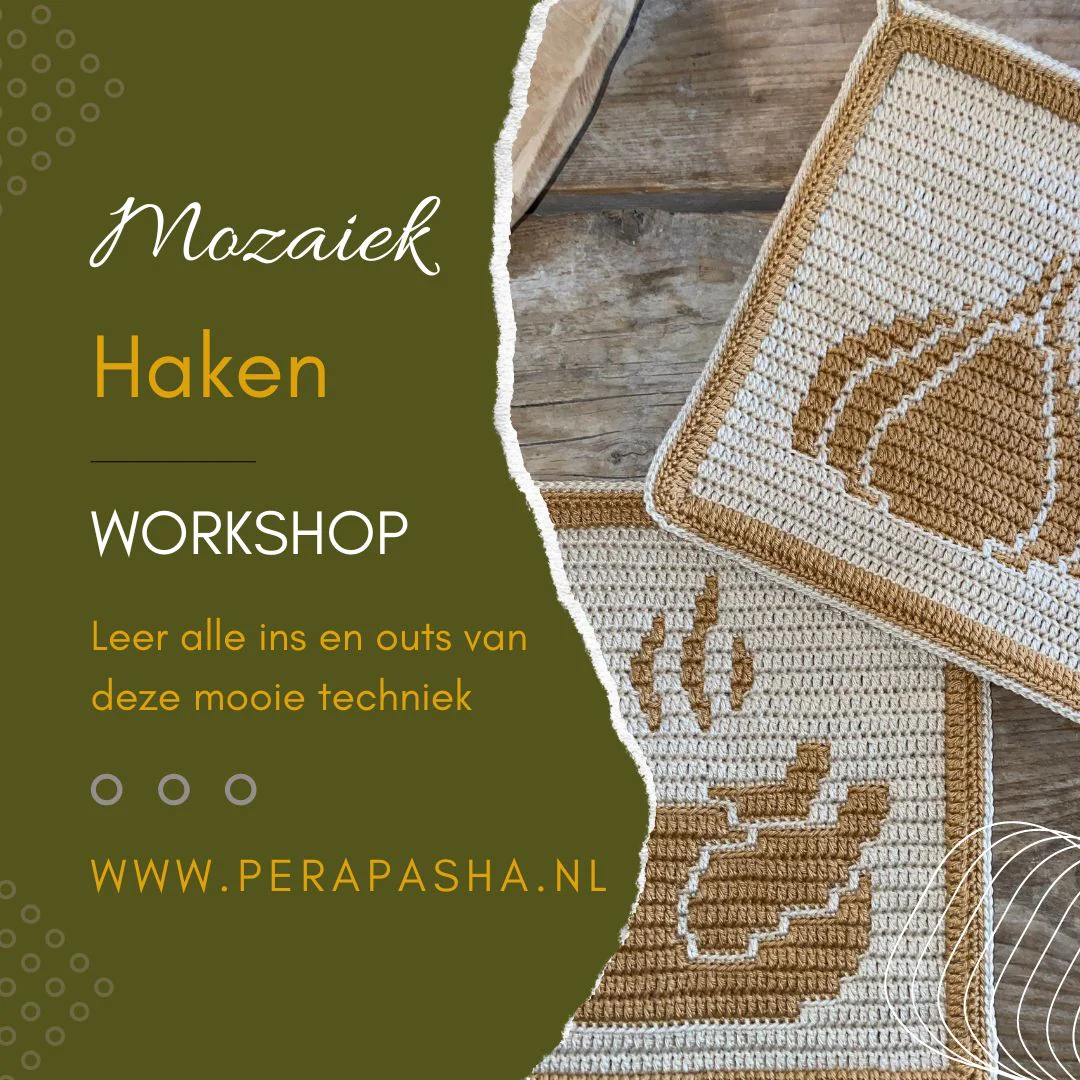 Workshop Mozaiek Haken (13  juni 2026)