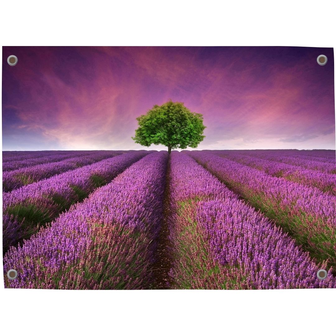 Tuinposter lavendel 3