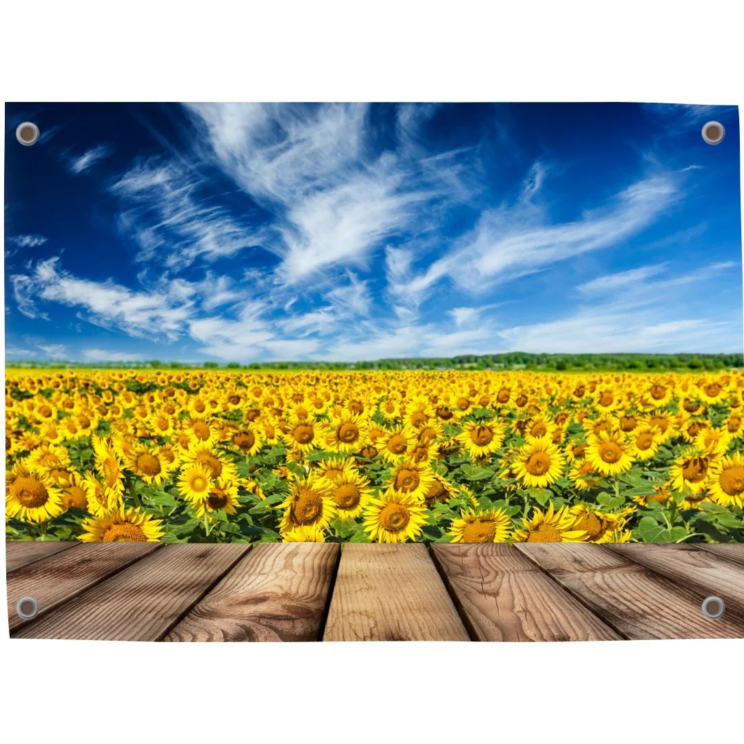 Tuinposter Zonnebloem 1