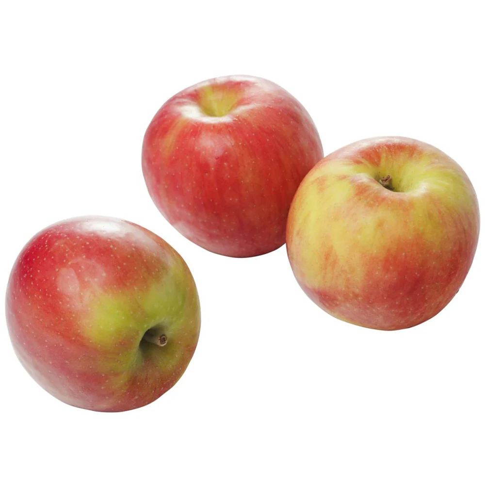Biologische Elstar Appels 1 Kg