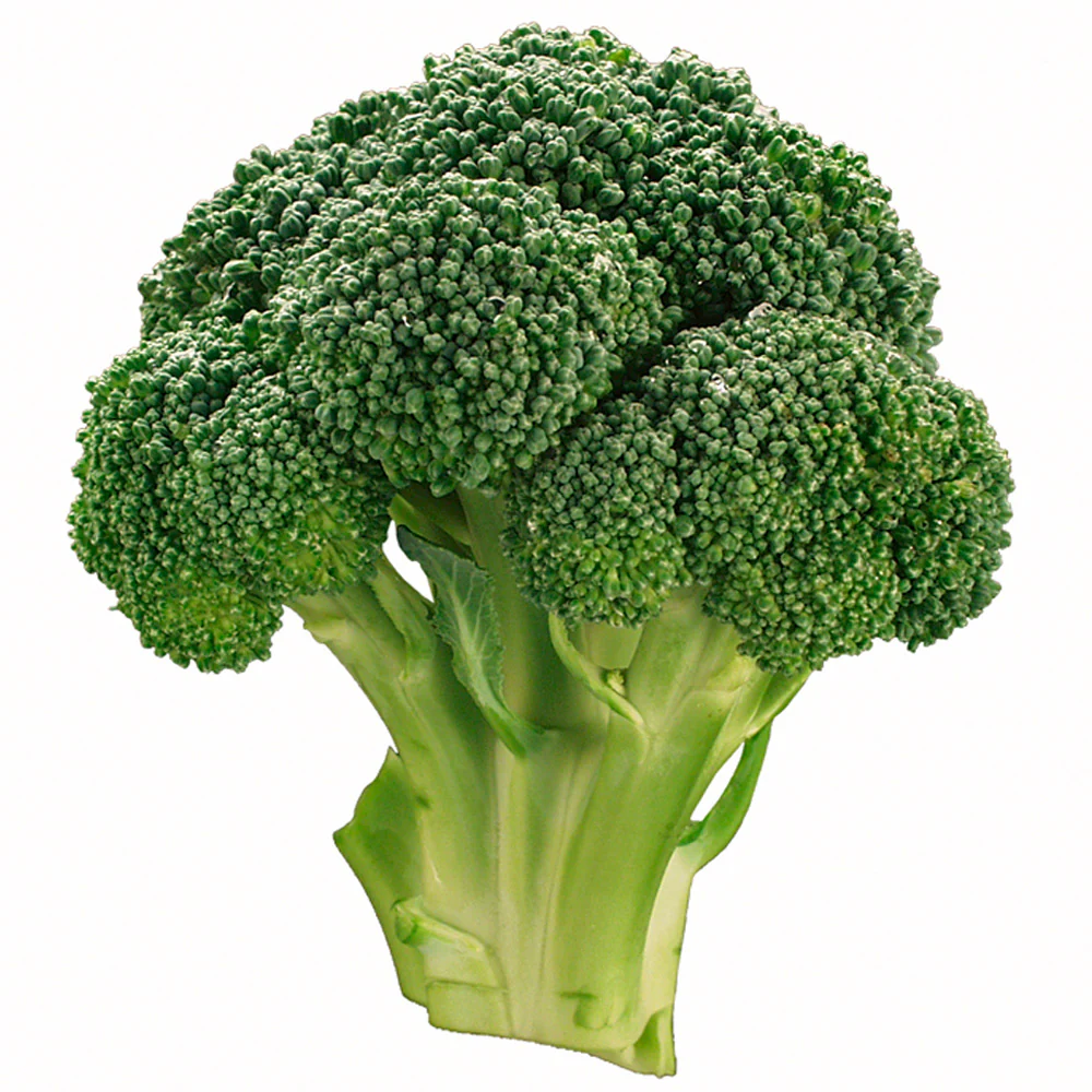 Biologische Broccoli 1 kilo.