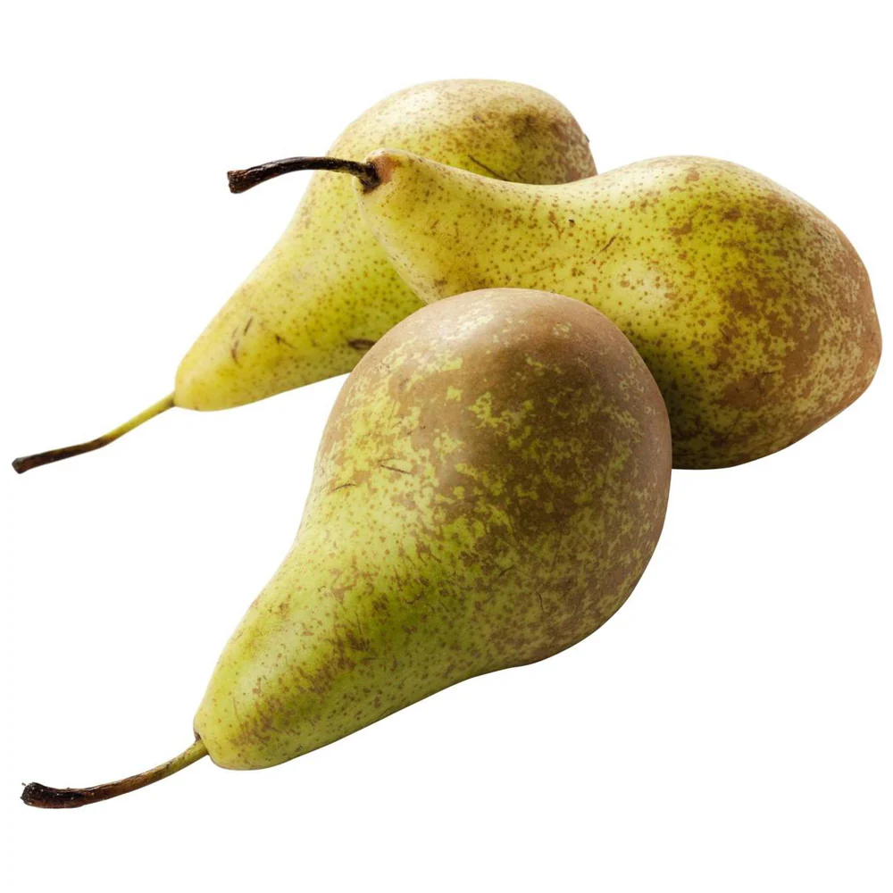 Biologische Peren Conference 1 Kilo