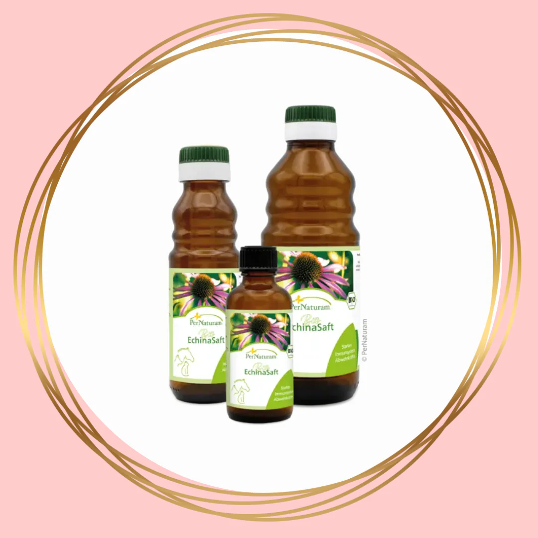 PerNaturam | Echinacea-sap (tip voor mineralenbuffet!)