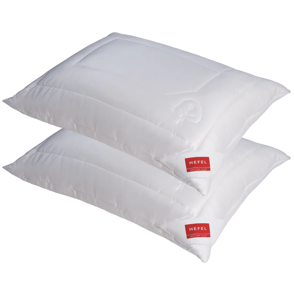 Hefel Klimacontrol Comfort Tencel | Set van 2 Kussens Hefel Klimacontrol Comfort Tencel | Set van 2 Kussens