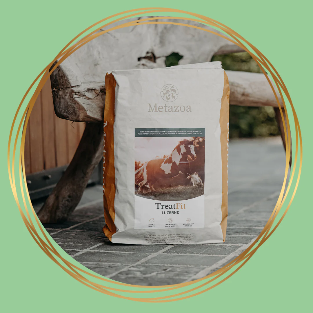 Metazoa | TreatFit Luzerne