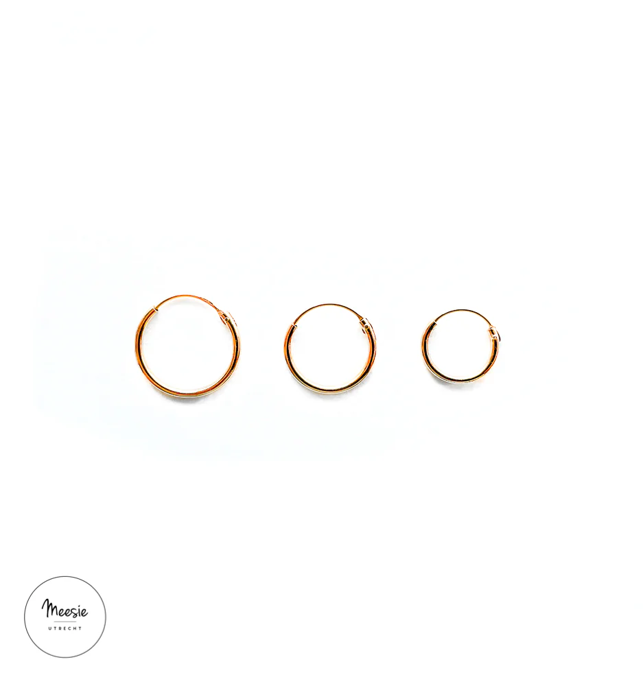Basic Oorringen Goud op Zilver