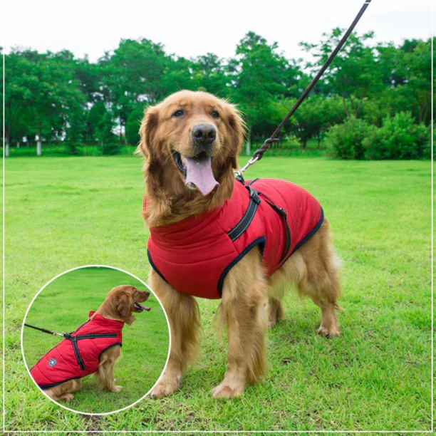 50% Korting | PawJacket™ – Waterdicht winterjack met geïntegreerd harnas [Laatste dag korting]