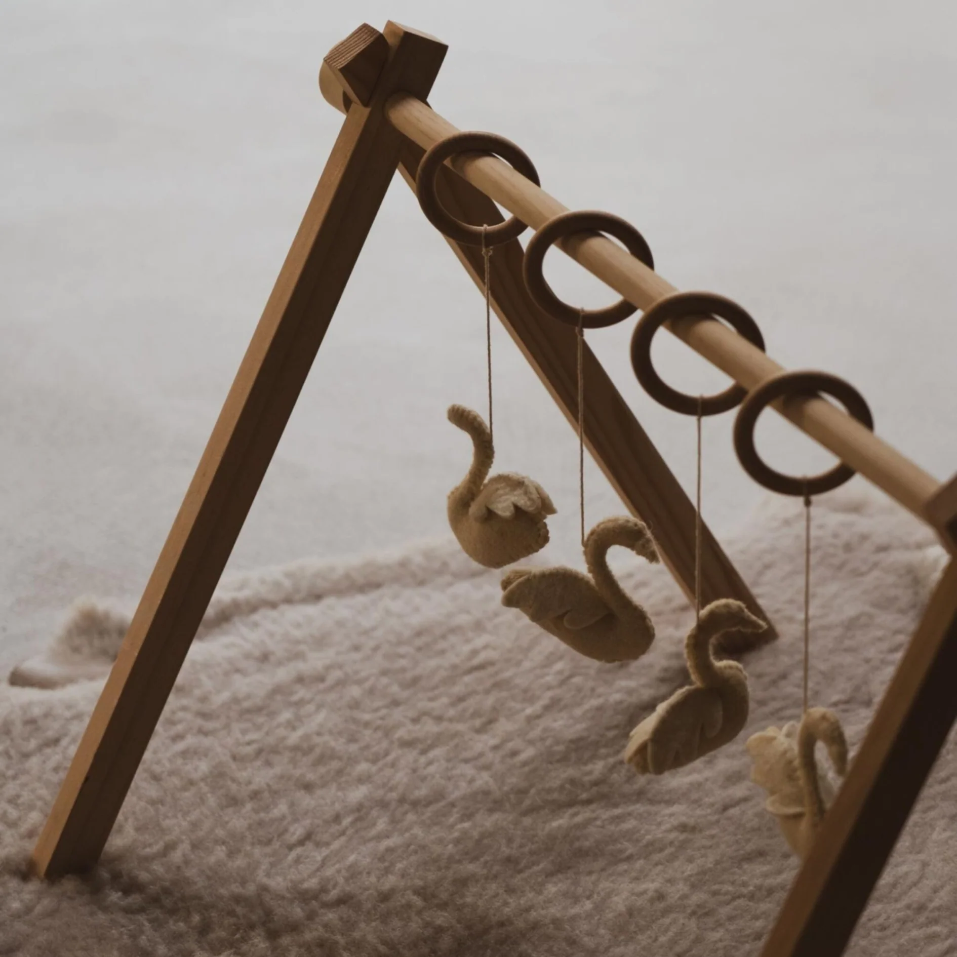 ACTIVITY ARCH TOYS | SWANS