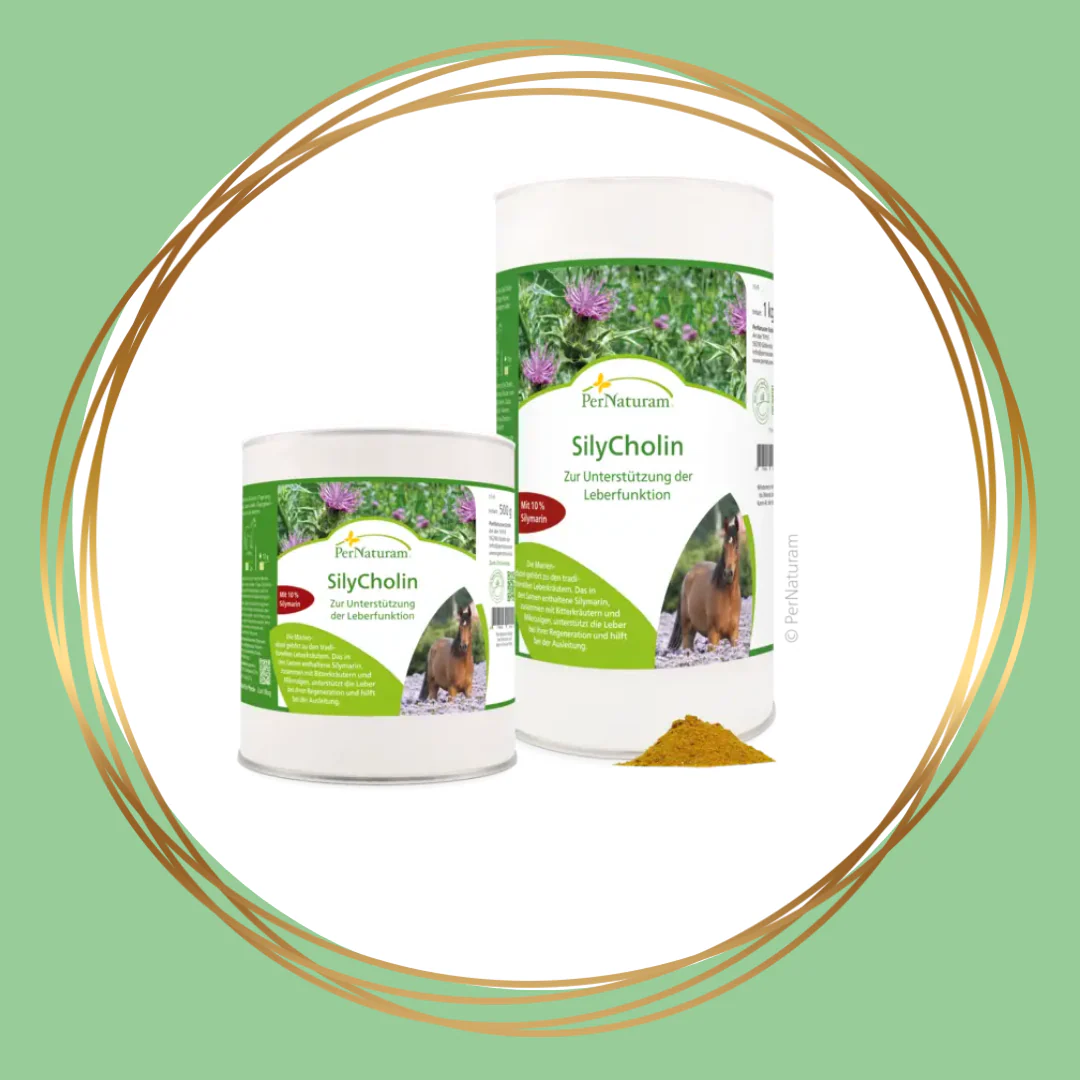 PerNaturam | SilyCholin (leverkruiden)