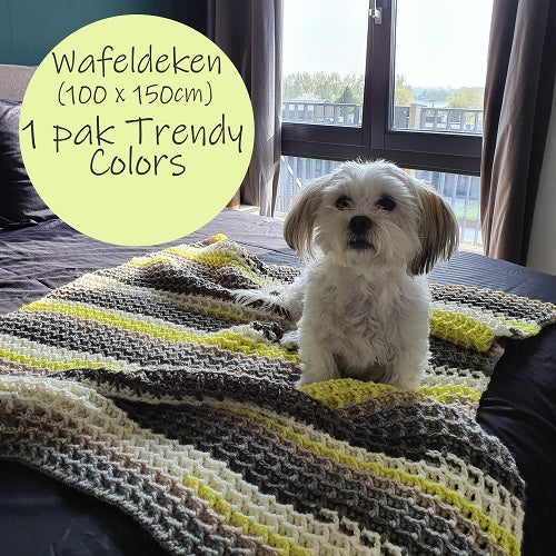 Trendy Colors Dekens (Haakpatroon) Trendy Colors Dekens (Haakpatroon)